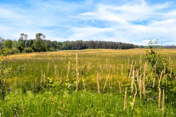 1511 Tay Point RD, Penetanguishene, ON L9M 2C8