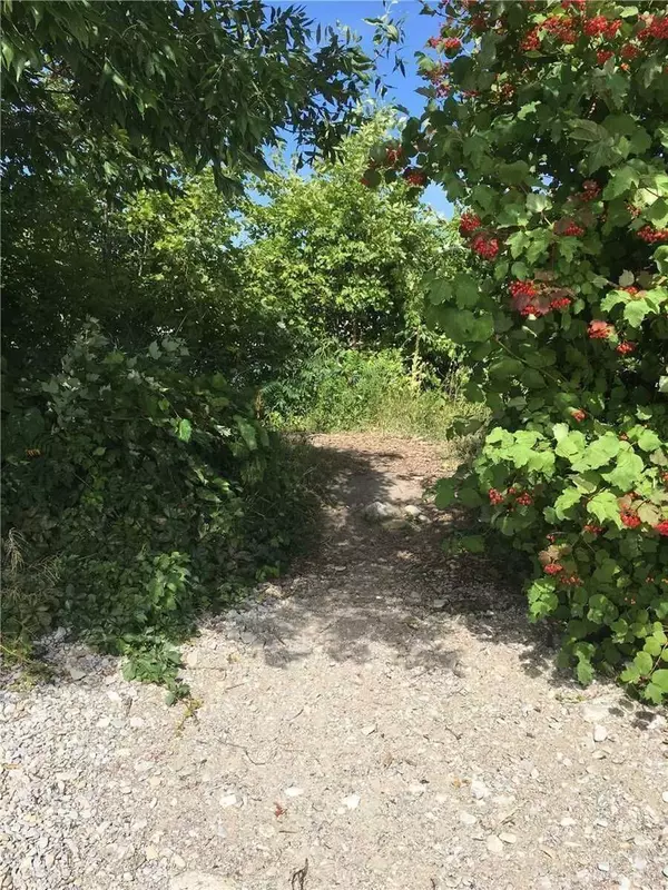 Ramara, ON L0K 1B0,81 Bayshore DR