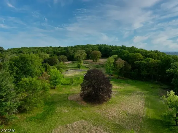 Mendham Twp., NJ 07931,11 Wright Ln