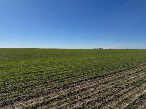 Abilene, TX 79601,TBD HWY 351 & Mesquite Ln