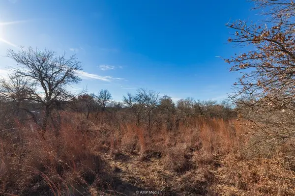 Anson, TX 79501,TBD Private Road 705