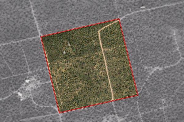 Anson, TX 79501,TBD Private Road 705