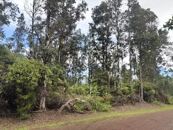 Pahoa, HI 96778,HILO ST