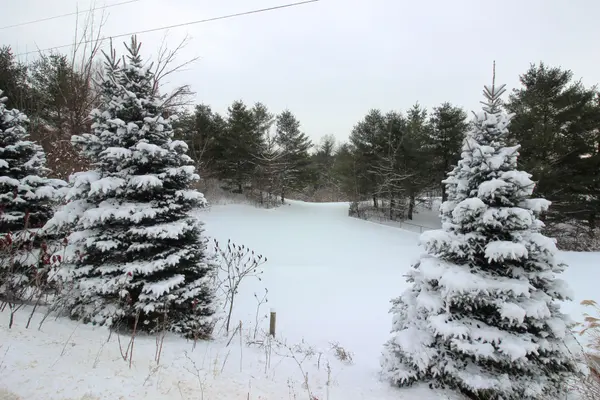 0 wellington Rd 36 RD, Puslinch, ON N0B 2L0