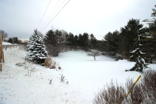 Puslinch, ON N0B 2L0,0 wellington Rd 36 RD