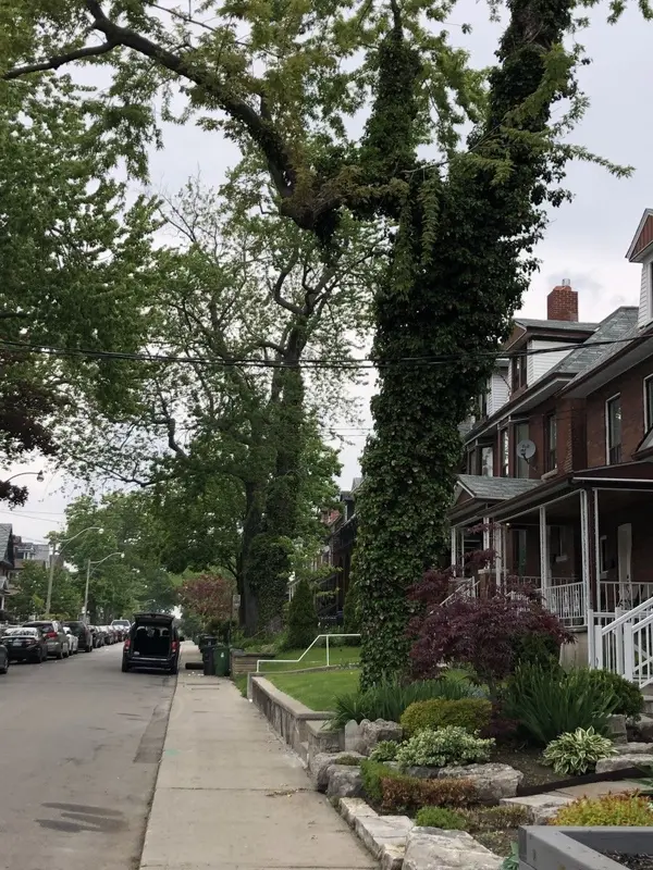 Toronto C01, ON M6J 2T2,41 Beatrice ST #BSMT