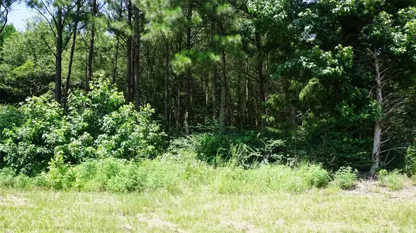 Hawkins, TX 75765,TBD Hwy 80