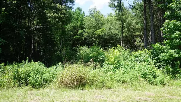 Hawkins, TX 75765,TBD Hwy 80