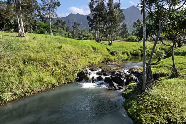 Kilauea, HI 96722,2818 KAMOOKOA RD #3