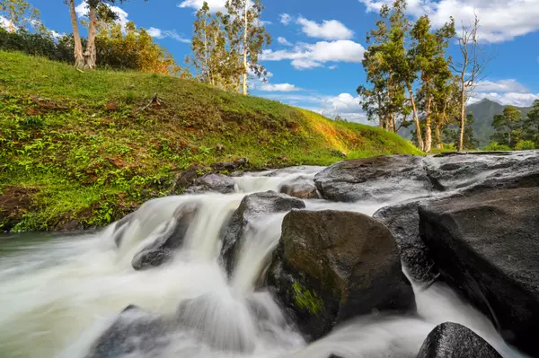 Kilauea, HI 96722,2818 KAMOOKOA RD #3