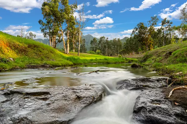 Kilauea, HI 96722,2818 KAMOOKOA RD #3