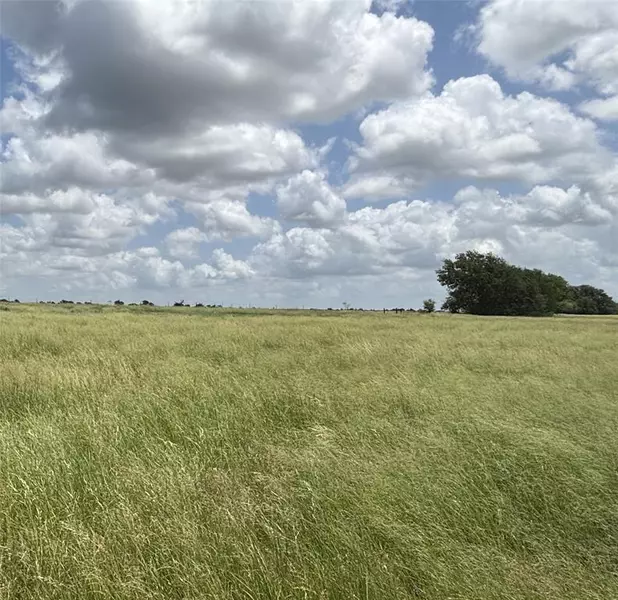 Lot 3 Old Patton Road, Valley Mills, TX 76689