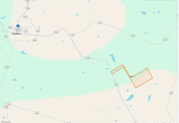 Carlton, TX 76436,tbd Farm Road 219 W