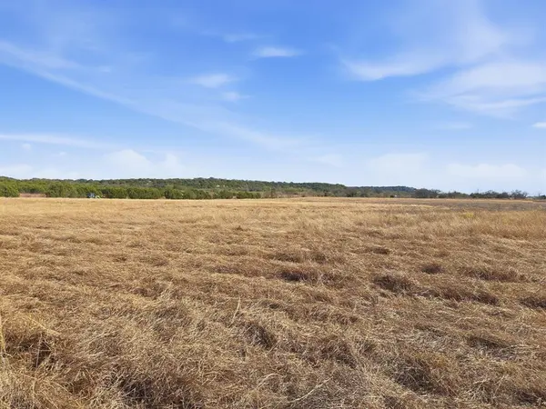 Hamilton, TX 76531,TBD CR 309