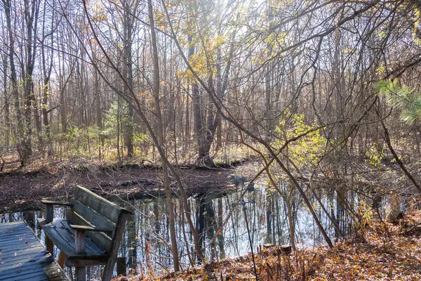 11760 (A) Landon RD, Baroda Twp, MI 49101