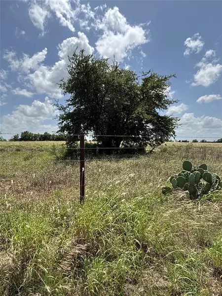 Lot 10 Chisholm Trail, Valley Mills, TX 76689