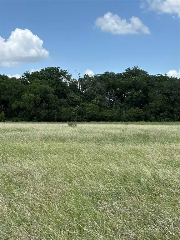 Valley Mills, TX 76689,Lot 5 Chisholm Trail