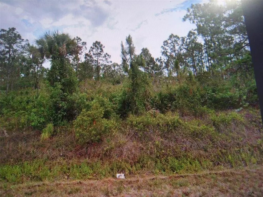 Lehigh Acres, FL 33972,817 State Ave