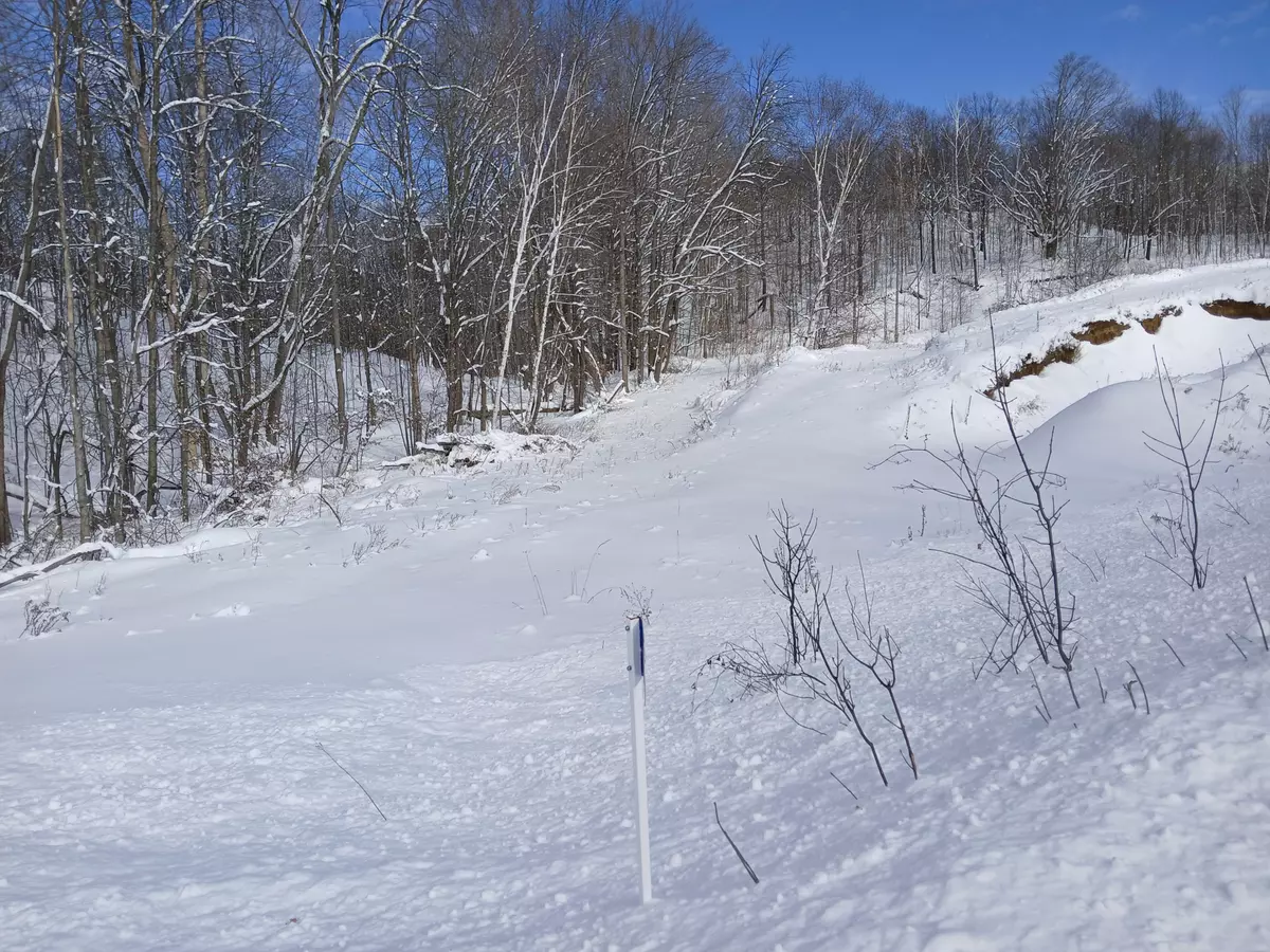 Tay Valley, ON K0G 1X0,406 Crozier RD