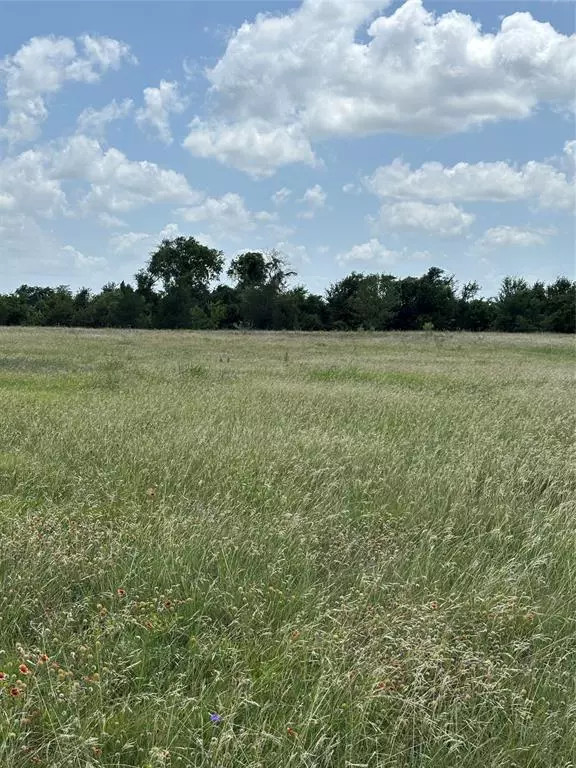 Valley Mills, TX 76689,Lot 5 Chisholm Trail