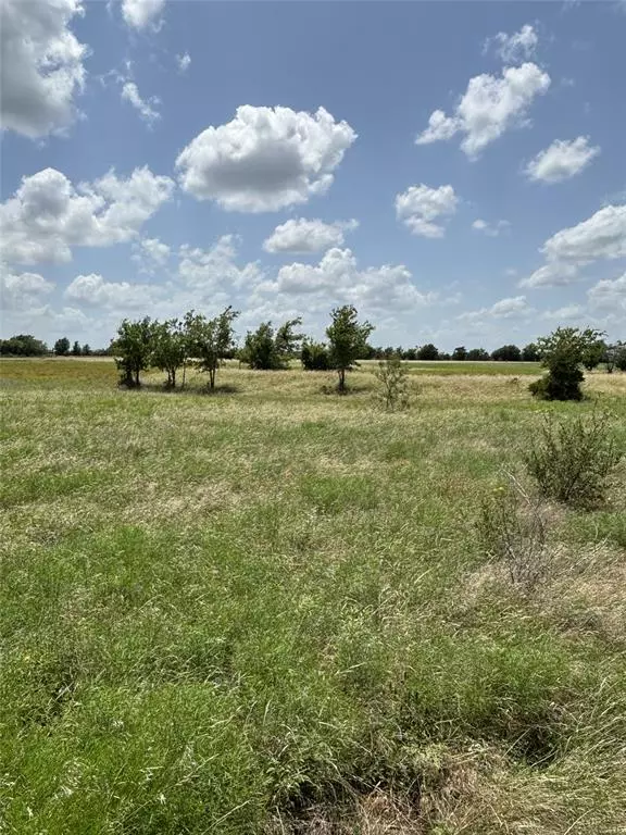 Valley Mills, TX 76689,Lot11 Chisholm Trail