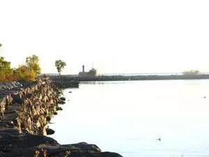 Mississauga, ON L5H 2R9,29 Maple AVE N