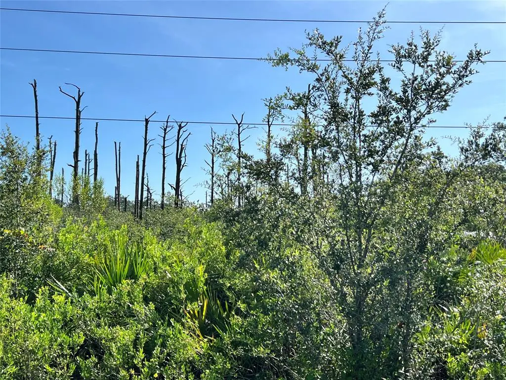 Okeechobee, FL 34972,34964 N Hwy 441