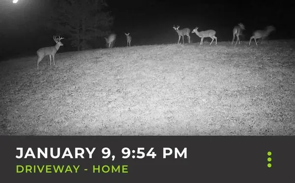 Lockesburg, AR 71845,150 Twin Creeks Lane