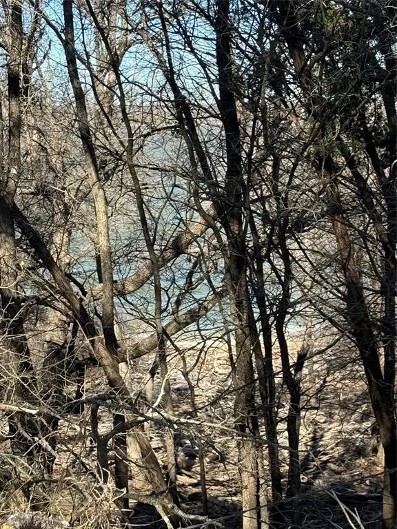 Morgan, TX 76671,729 County Road 1304