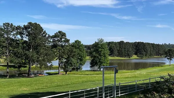 Larue, TX 75770,11786 County Road 4401