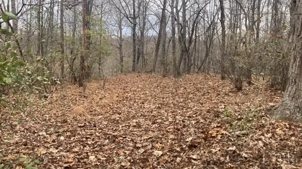 Lynchburg, VA 24502,1147 Stratford RD #1147A