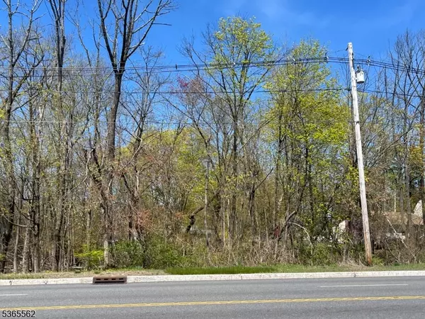 Mount Olive Twp., NJ 07828,212 Rt 46