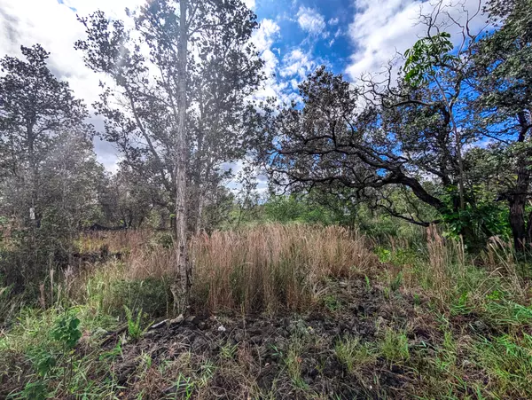 Ocean View, HI 96737,92-1524 CORAL PARKWAY