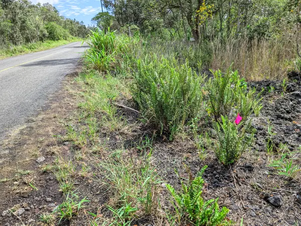 Ocean View, HI 96737,92-1524 CORAL PARKWAY