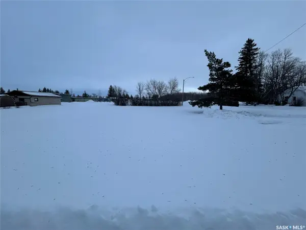 319 5th STREET, Star City, SK S0E 1P0