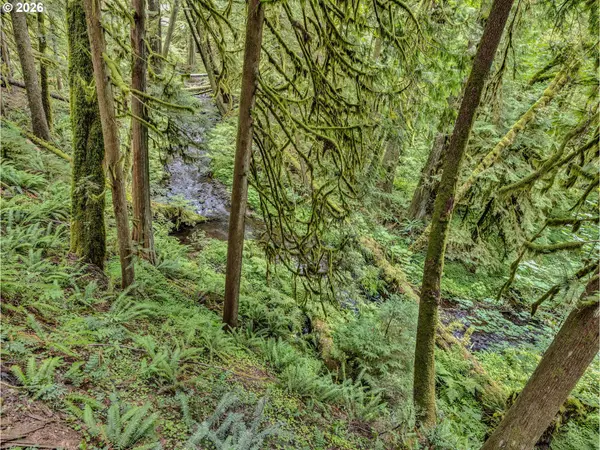 Rhododendron, OR 97049,26467 E HENRY CREEK RD