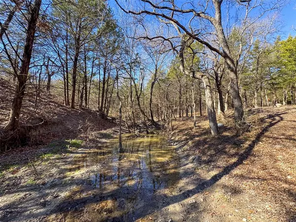 Whitewright, TX 75491,8708 Fm 697