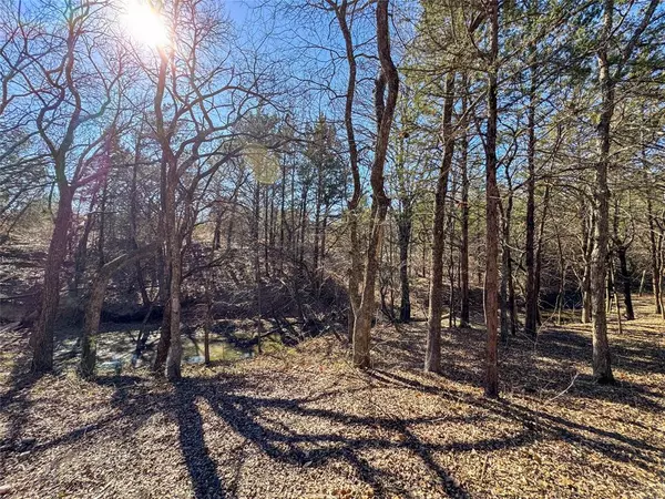 Whitewright, TX 75491,8708 Fm 697