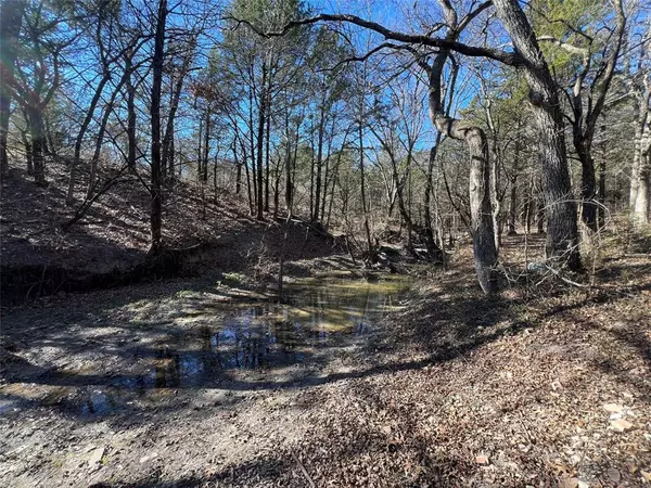 Whitewright, TX 75491,8708 Fm 697