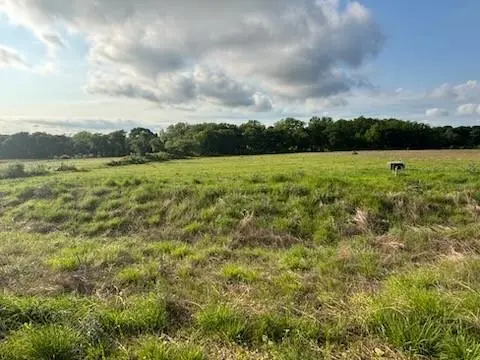 Hillsboro, TX 76645,TBD Hill Creek Lane