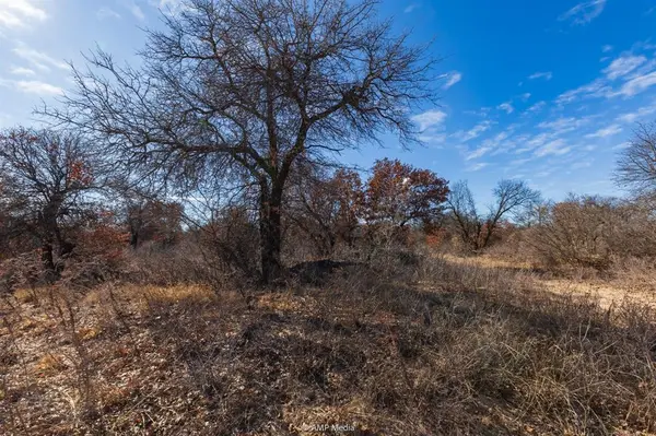 Hawley, TX 79525,TBD US Hwy 277 S