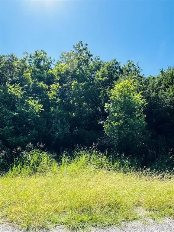 1277 Paint Brush Court, Whitney, TX 76692