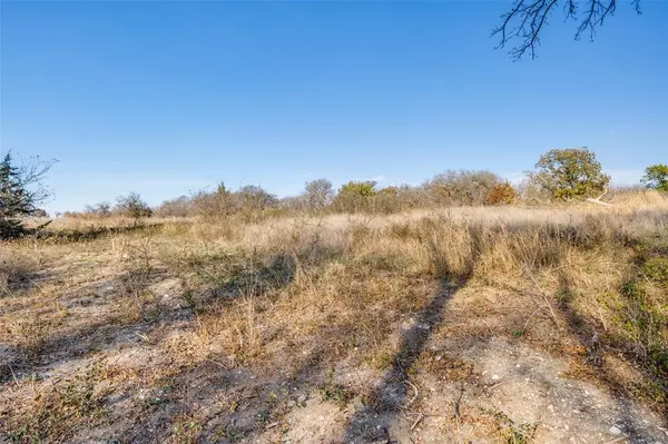 Blue Ridge, TX 75424,15602 State Highway 160