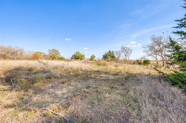 Blue Ridge, TX 75424,15602 State Highway 160