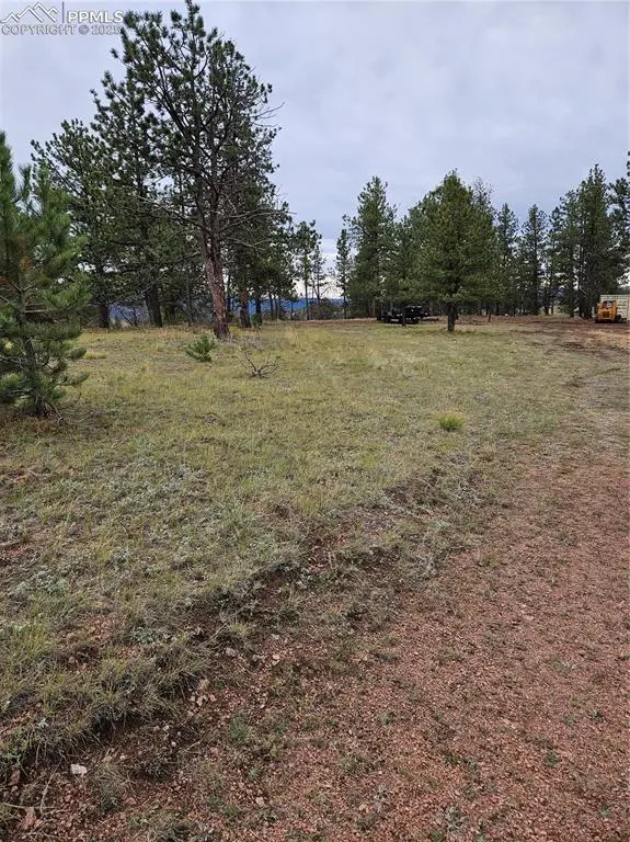 Florissant, CO 80816,208 Eaglecrest DR