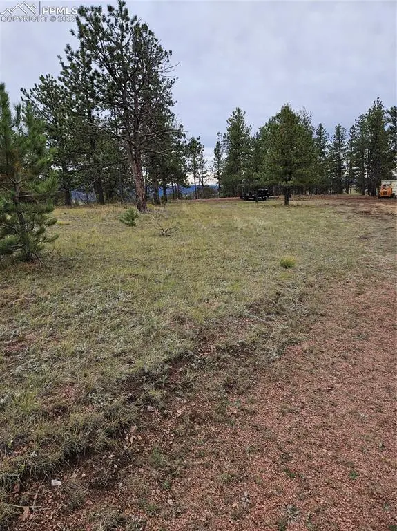 Florissant, CO 80816,208 Eaglecrest DR