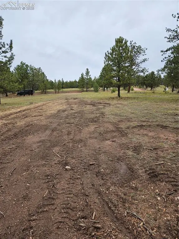 Florissant, CO 80816,208 Eaglecrest DR