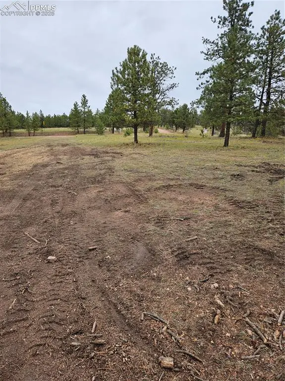 Florissant, CO 80816,208 Eaglecrest DR