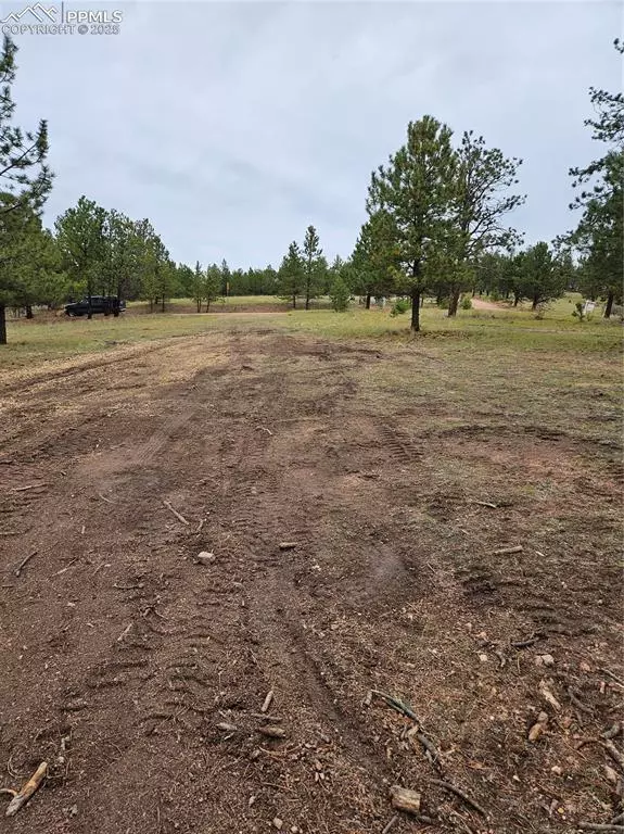 Florissant, CO 80816,208 Eaglecrest DR