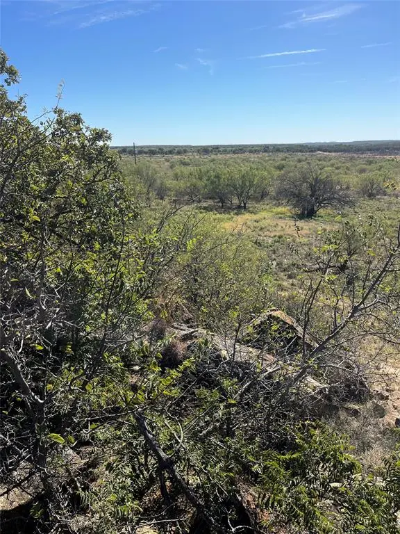 Bryson, TX 76427,000 Fm 175